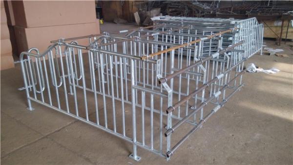 New Design Pig Gestation Crates Sow Farm Equipment Easy To Feed And Manage