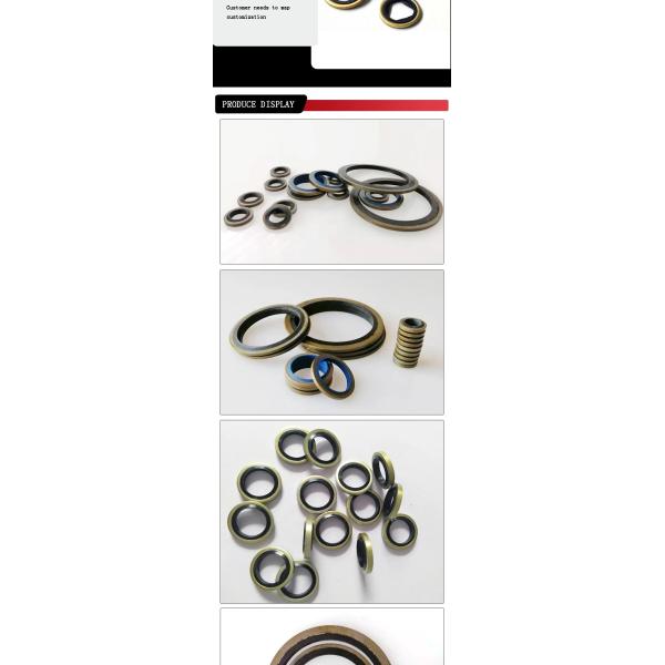 Нержавеющая сталь резина NBR склеенный герметический стиральщик Anti Abrasion