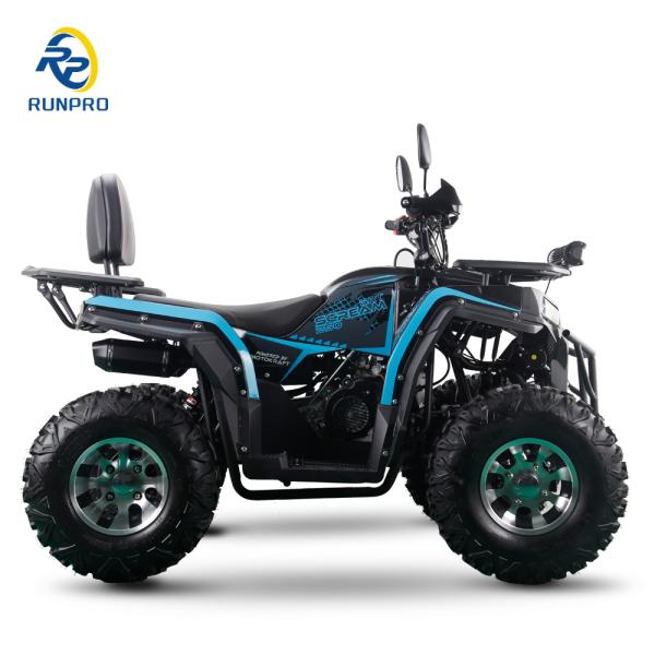 200CC ATV 250CC ATV Adult ATV Quad Bike with Chain Drive and 1000W Electric Pull Start