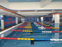 Outdoor Recyclable Swimming Pool For Adults Energy Saving Customized