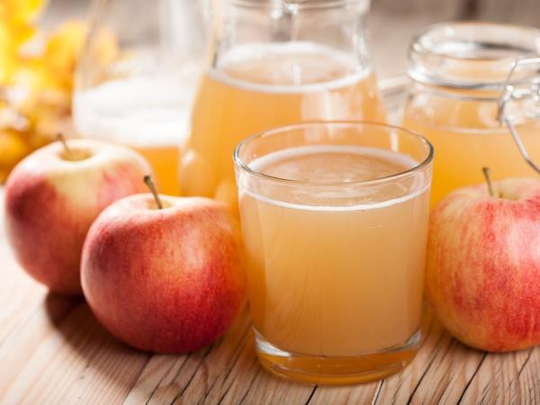 Linha de processamento de 3T/H Apple para Juice Complete Plant Preheating