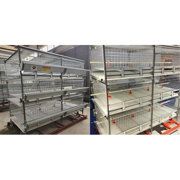 Современная ферма 150/200 материал стального провода клетки цыпленка бройлера птиц Q235A