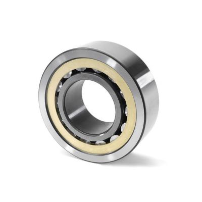 NU319 ECP Cylindrical Roller Bearing Used In Agricultural Machine NU319ECP