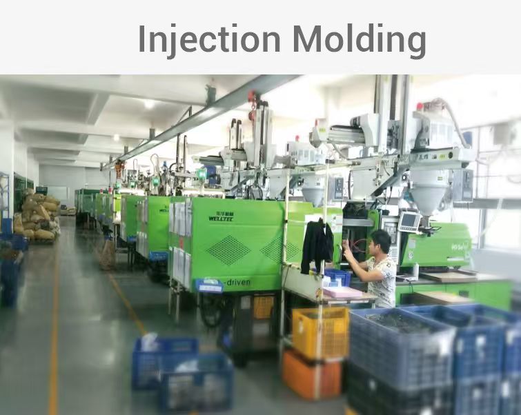 Xiamen Ezra Healthy Science And Technology Co., Ltd.