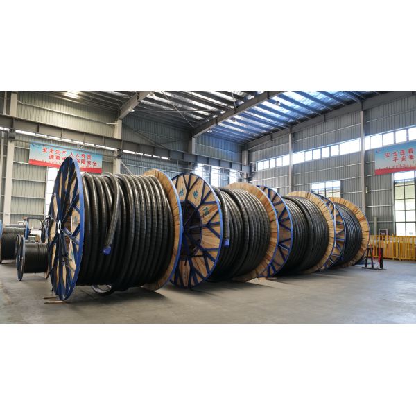 JinHong Wire And Cable Group