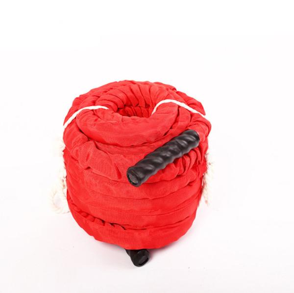 Fitness and physical fitness training, rope combat, rough rope climbing, private trainer arm swing rope