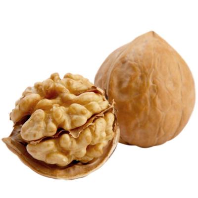 Venda a retalho Xinjiang 185 nozes de papel/33 nozes/xin2 nozes/xingfu nozes com preço barato