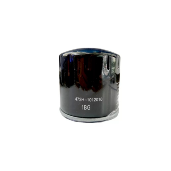 OE 480-1012010 Chery Tiggo Oil Filter Cartridge Multi Layer Filter Media