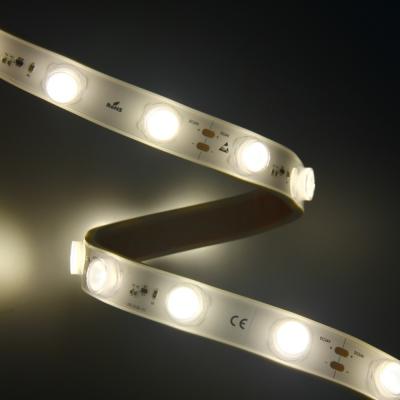 Outdoor Flex LED Wall Washer Lighting IP67 Weatherproof UV Resistant TPU Material