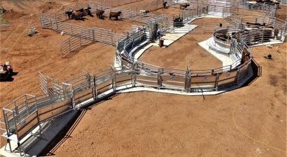 Steel Square Tube Heavy Duty Cattle Panel American Style