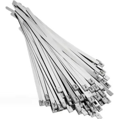4.6*200mm Stainless Steel Cable Ties black or silver 304 Metal Cable Tie