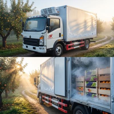 Refrigerated Truck SINOTRUK HOWO For Frozen Food / Medicine Transport