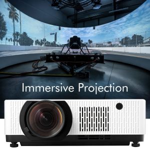 Immersive Projector