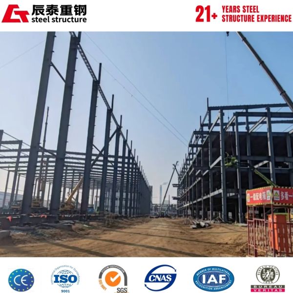 New Model Long Lifespan Wind-Resistant  High-Rise Steel Structure Building