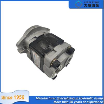 LIWEI Forklift Hydraulic Pump 91E71-10200 for FD20-30(F18C/CF18C/F14E/CF14E)/S4S