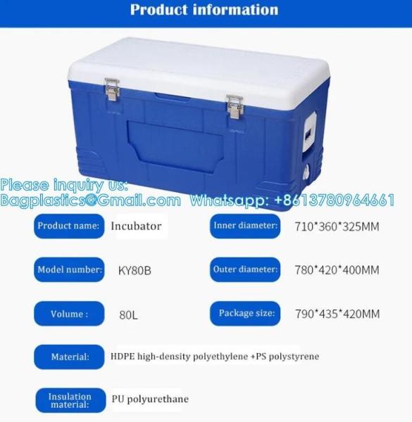 Custom Medical Organ Transport Portable Cooler Wine Beer Styrofoam Ice Chest Thermal Bag Food Large Cooler Box