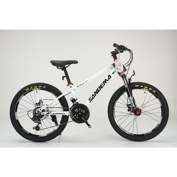 Стальная рама 20 дюймов WANDA 20 * 2.125 Шины Детский велосипед для прочного 21 скорости MTB