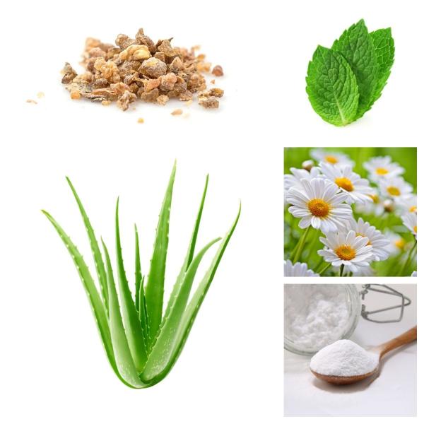 Organic Oral Care Toothpaste Aloe Vera Teeth Whitening Baking Soda Natural Plant Extracts Sls Free