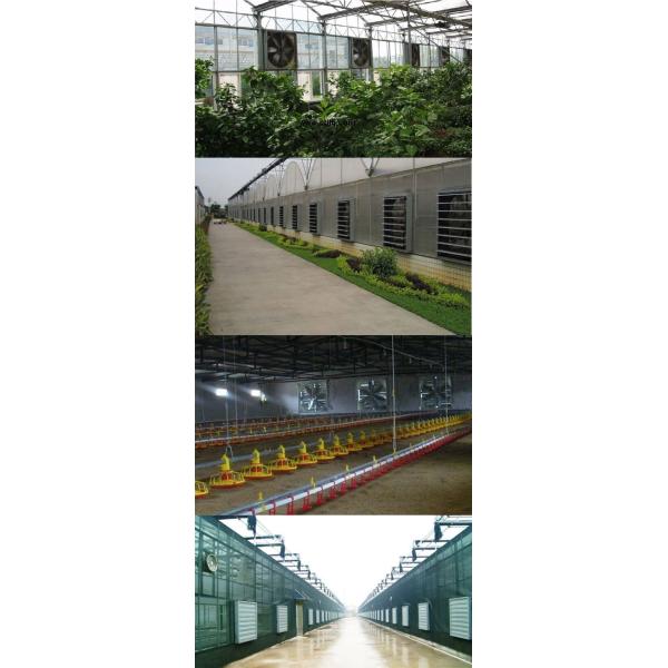 wall mounted motor driven directly exahsut fan ventilation fan