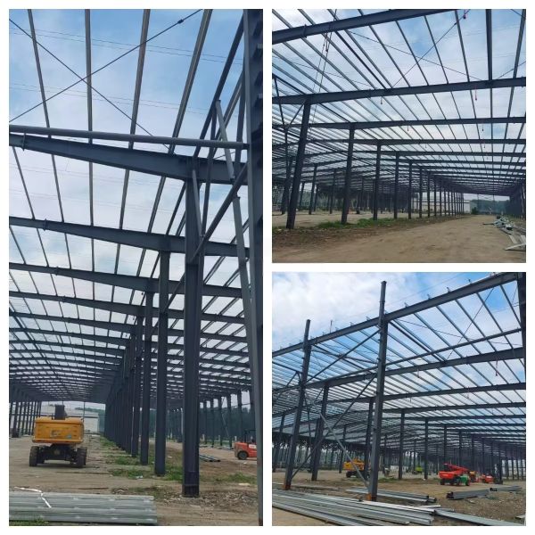 Customized Steel Structure Warehouse Construction Factory Building Fire Resistance