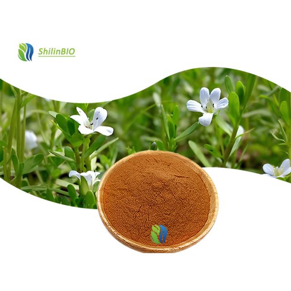 High Quality Bacopa Monnieri Extract 50% Bacopasides Powder