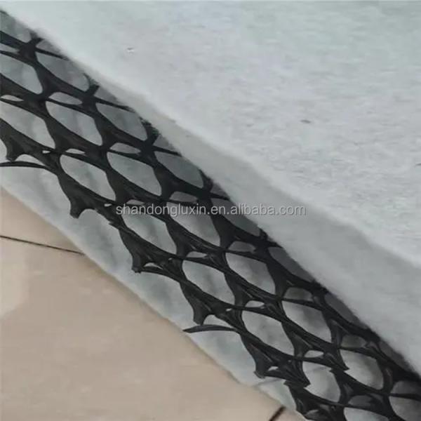 HDPE 3D Salt Barrier Drainage Geonet Geocomposite net for Landfill Road Garden Drainage