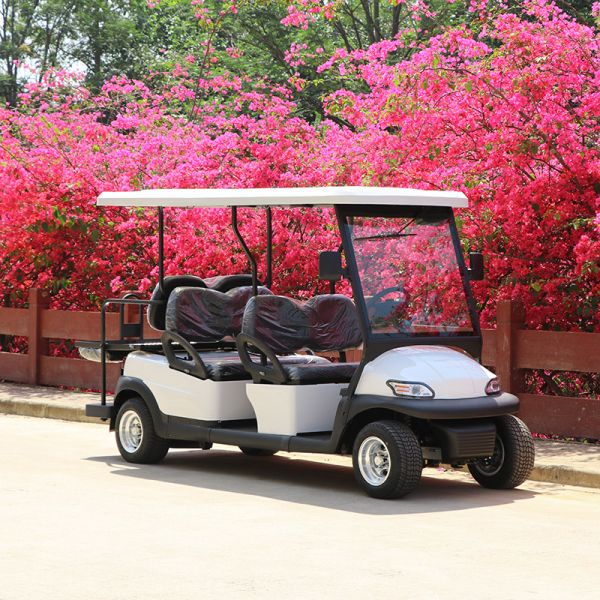 Wholesale 6 Seaters New Energy Golf Cart with 48V Trojan Battry