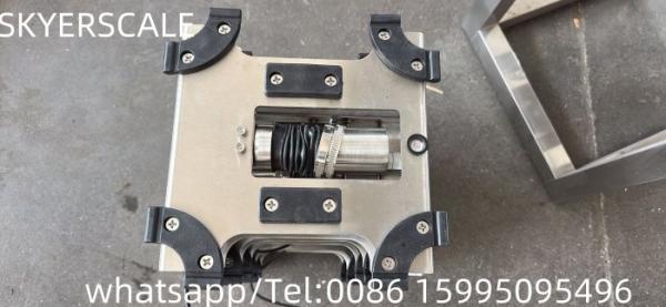 304 Stainless Steel  Bench Scale Small Industrial Weighing OEM/ODM/OBM Supported