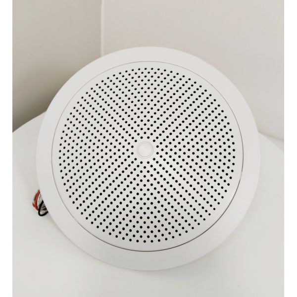 CL-216 ABS Speaker 6-inch 6W High Quality PA System Speaker Passive Speaker