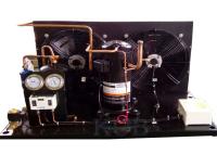 Unidade de condensação comercial de ZB38KQE-TFD, temperatura de condensação do compressor do rolo dos componentes da unidade baixa