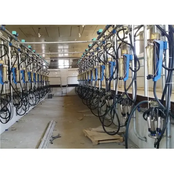 HL-G1 Herringbone Structure Milking Parlor with 380V/50Hz Power and CE ISO SGS FDA Certification