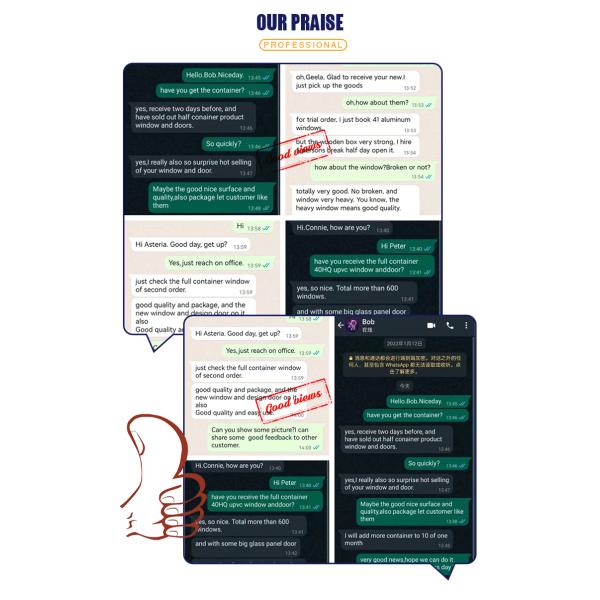 Retractable Aluminum Alloy Doors And Windows Custom Windows with Stainless Steel Screen