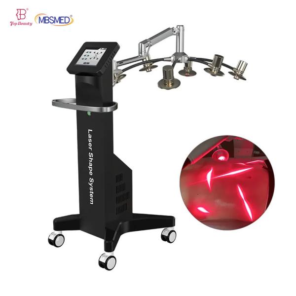 laser non envahissant de 532nm 6D Lipo amincissant l'enlèvement vert de