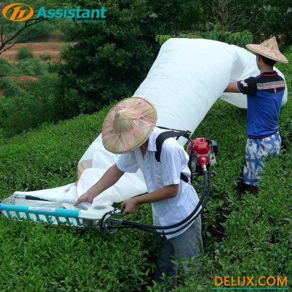 16 KG Backpack Gasoline Engine Tea Leaf Pruning Mower Harvester Hedgerow Landscaping Tea Picker DL-4C-A