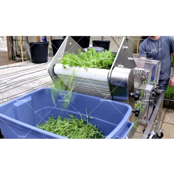 Upgrade Your Harvesting Process with 1200mm Aquaponics Microgreens Harvester 170 KG