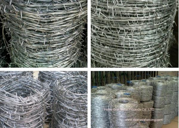 Hot Dipped Galvanized Barbed Wire Mesh Roll / Barbed Wire Mesh Fence Design