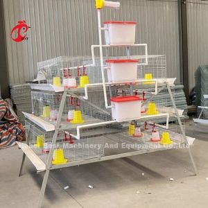 Broiler Chicken Cage