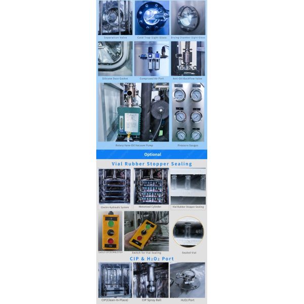 5Kg/Batch Pharma Pharmaceutical Freeze Dryer Pharmacy Small Lyophilizer
