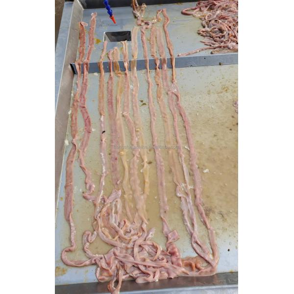 Stainless Steel Duck Intestine Cutting Washing Machine/Poultry Pork Small Intestine Chicken Cutter Machine