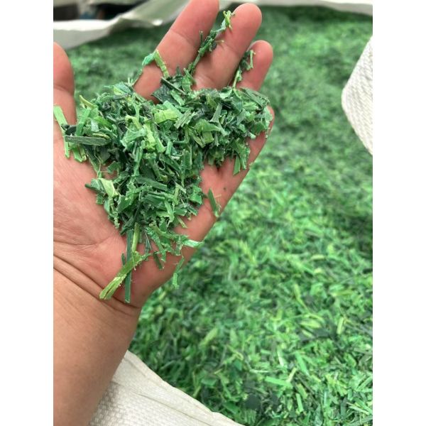 9-32mm Green PET Strapping band PET Bundling belt Manual / Automatic PP PET Packaging belt / strap