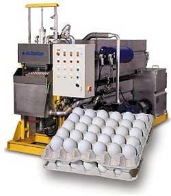 Small  Pulp Semi Automatic Paper Dish Making Machine  80KW Reciprocating