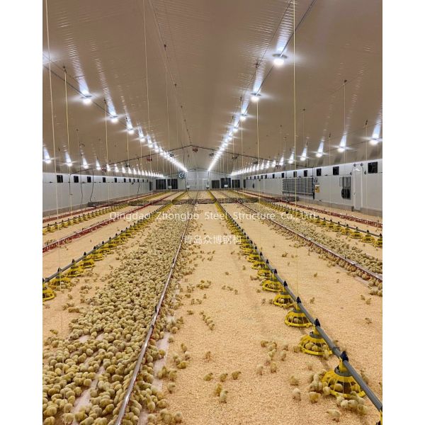 Durable Prefabricated Steel Structure Poultry House with Customizable Design and Easy Installation