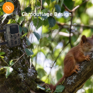 Mini Trail Camera Outdoor Hunting infrarrojo 4K HD 20MP 1080p