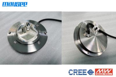 SS316L Surface Mounted LED Pool Light Seawater Corrosion Resistant