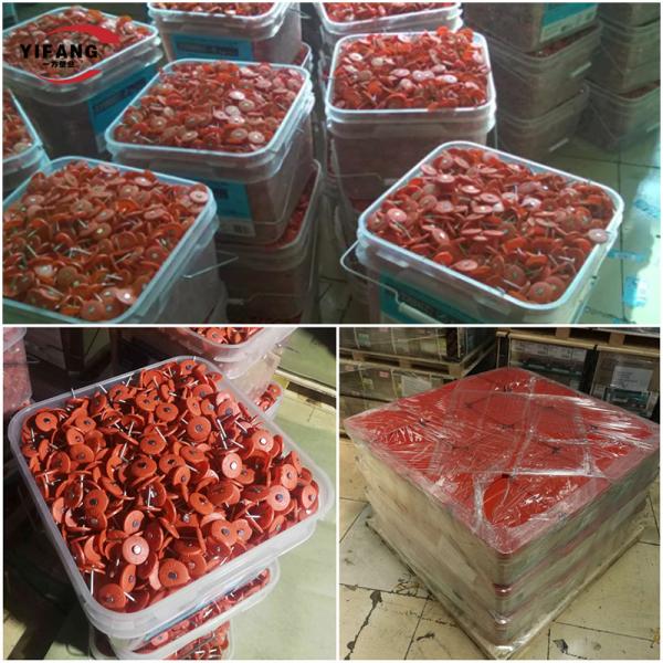 ногти толя оцинкованной стали 7/8inch с пластиковыми крышками нагревают консервацию