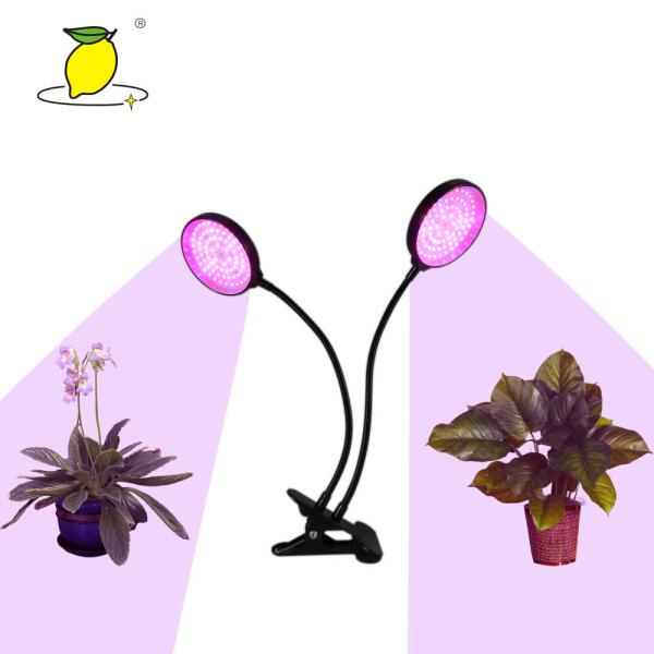 завод 100*380mm растет светлым