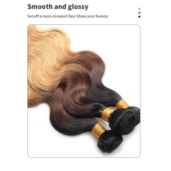 1b 4 27 BW Colored Human Hair Bundles