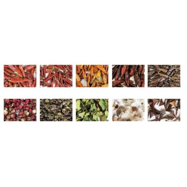 600mm Belt Infrared Sorting Machine 220V Colour Sorter Machine