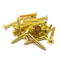 pièces de machine de vis d'acier inoxydable de placage à l'or de 0.01mm
