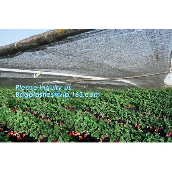 Плантатор сада пластмассы полиэтилена ЛДПЭ кладет в мешки для овоща, дерева и саженец цветка, ЛДПЭ пластмассы отверстия 15 ГАЛЛОНОВ растет б